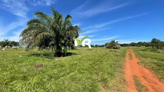 Fazenda/Sítio com 3 Quartos à venda, 2274800m² no , Morrinhos