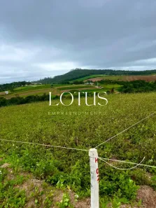 Lote/Terreno à venda, 500m² no Centro, Cotia