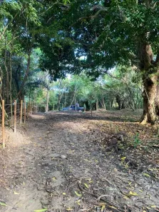 Lote/Terreno à venda, 5m² no Praia do Forte, Mata de São João