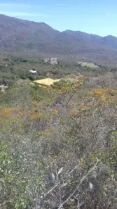 Fazenda/Sítio com 3 Quartos à venda, 20000m² no , Rio de Contas