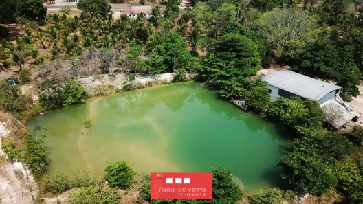 Fazenda/Sítio com 4 Quartos à venda, 770000m² no , Novo Jardim