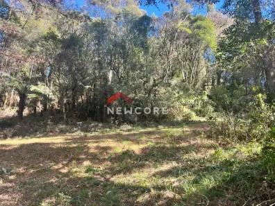 Lote/Terreno à venda, 600m² no Centro, São Francisco de Paula