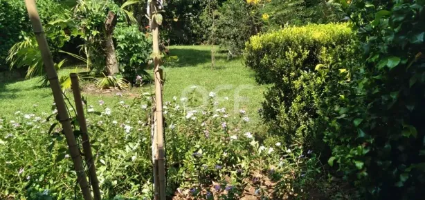 Fazenda/Sítio com 2 Quartos à venda, 183m² no Chácara Santa Margarida, Campinas