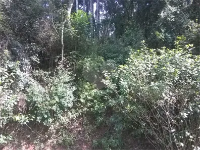 Lote/Terreno à venda, 1327m² no Roseira, Mairiporã