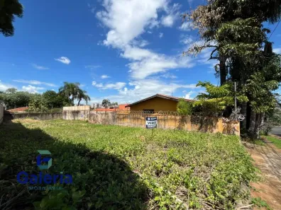 Lote/Terreno à venda, 504m² no Alto da Boa Vista, Ribeirão Preto