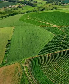 Fazenda/Sítio com 10 Quartos à venda, 968000m² no Centro, Varginha