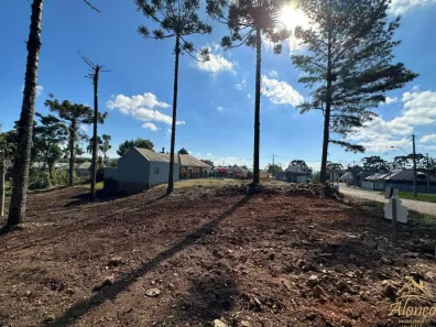 Lote/Terreno à venda, 1m² no Nova Petrópolis, Nova Petrópolis