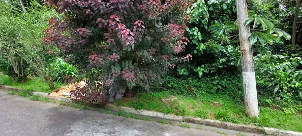 Lote/Terreno à venda, 2160m² no Caraguatá, Mairiporã