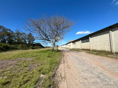 Galpão/Depósito/Armazém para alugar, 800m² no Centro Novo, Eldorado do Sul