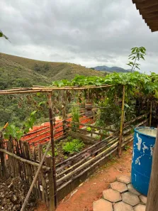Casa com 1 Quarto para alugar, 55m² no Vila Veneziani, São José dos Campos
