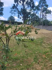Lote/Terreno à venda, 75m² no Loteamento Residencial Lago do Sol, Cotia