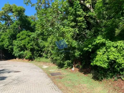Lote/Terreno à venda, 700m² no Açu da Torre, Mata de São João