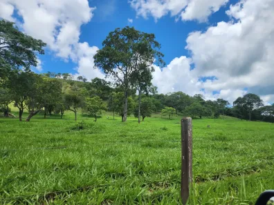 Fazenda/Sítio à venda, 22m² no , Bela Vista de Goiás