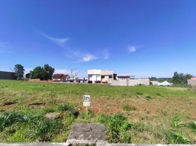 Lote/Terreno à venda, 364m² no João Alves, Santa Cruz do Sul