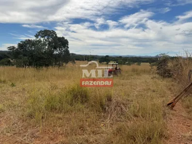 Fazenda/Sítio à venda, 1m² no , Barro Alto