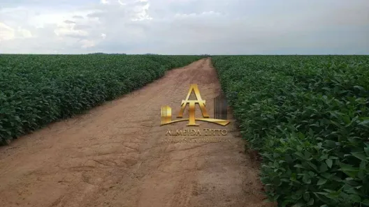 Fazenda/Sítio com 1 Quarto à venda, 100m² no , São Félix do Araguaia