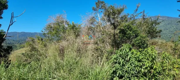 Lote/Terreno à venda, 7391m² no Ilhabela, Ilhabela