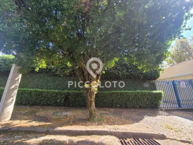Imóvel Comercial com 6 Quartos para alugar, 212m² no Nova Campinas, Campinas