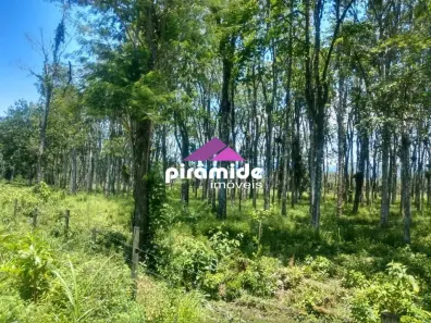 Lote/Terreno à venda, 30000m² no Barranco Alto, Caraguatatuba
