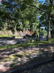 Ponto Comercial para alugar, 38m² no Horto Florestal, São Paulo