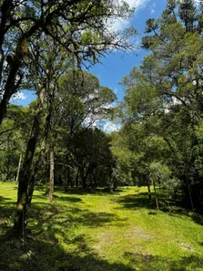 Fazenda/Sítio à venda, 20000m² no Campestre, Urubici
