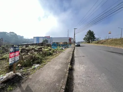 Lote/Terreno à venda, 627m² no Cinqüentenário, Caxias do Sul