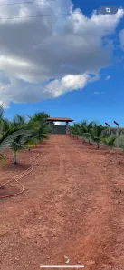 Fazenda/Sítio com 3 Quartos à venda, 10000m² no , Itauçu