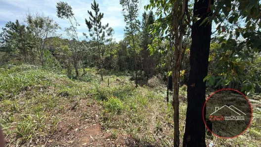 Lote/Terreno à venda, 5000m² no Estância Angelina, Suzano
