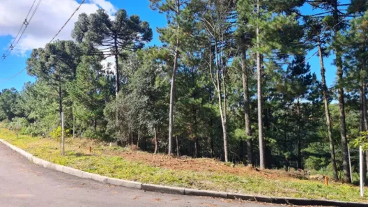 Lote/Terreno à venda, 558m² no Loteamento Marsal, Gramado