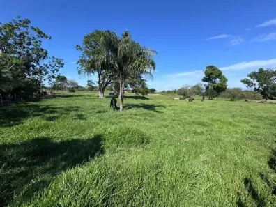 Fazenda/Sítio com 2 Quartos à venda, 30000m² no Zona Rural, Cachoeiras de Macacu