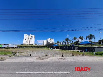 Lote/Terreno para alugar, 5000m² no Serraria, São José