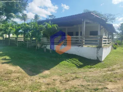 Fazenda/Sítio com 5 Quartos à venda, 1000m² no Santo Agostinho, Cabo de Santo Agostinho