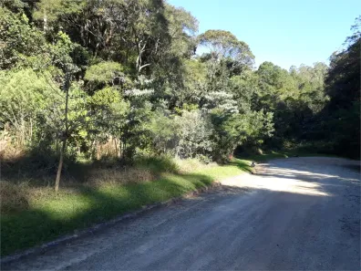 Lote/Terreno à venda, 1528m² no Rio Abaixo, Mairiporã