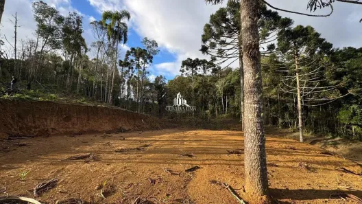 Fazenda/Sítio com 1 Quarto à venda, 5000m² no Cerne, Campina Grande do Sul