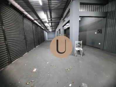 Galpão/Depósito/Armazém para alugar, 300m² no Vila Matilde, São Paulo