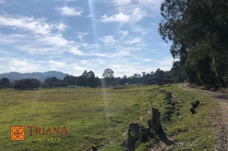 Lote/Terreno à venda, 350000m² no , Rio Rufino