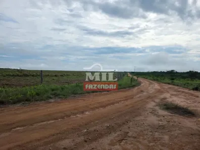 Fazenda/Sítio à venda, 500m² no Barreiras II, Barreiras