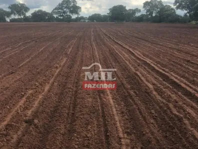 Fazenda/Sítio à venda, 20000m² no Setor Central - Parte Baixa, Jataí