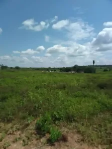 Fazenda/Sítio com 2 Quartos à venda, 670m² no Centro, Confresa