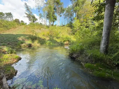 Fazenda/Sítio com 2 Quartos à venda, 234000m² no Centro, Rio Preto da Eva