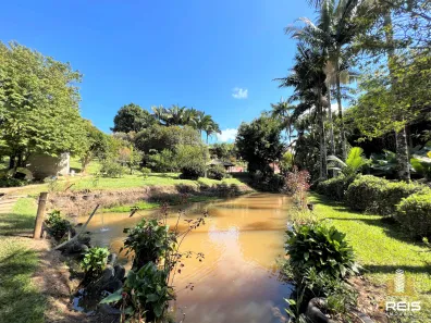 Fazenda/Sítio com 4 Quartos à venda, 3800m² no Santa Rosa, Socorro