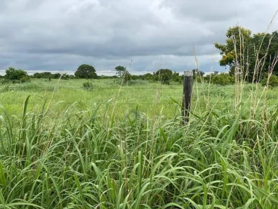 Fazenda/Sítio à venda, 230m² no , Crixás do Tocantins