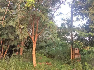 Lote/Terreno à venda, 700m² no Caminhos de San Conrado (Sousas), Campinas