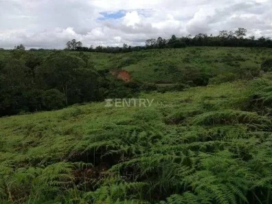 Lote/Terreno à venda, 5000m² no Residencial São Domingos, Jundiaí