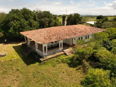 Fazenda/Sítio com 4 Quartos à venda, 140000m² no , Guarabira