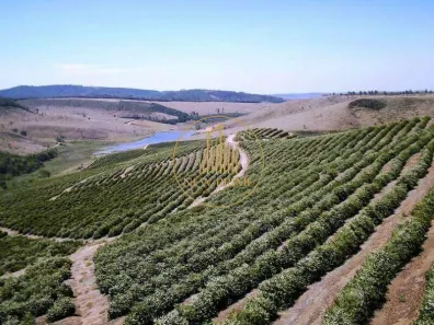 Fazenda/Sítio à venda, 970m² no Aparecida, Capelinha