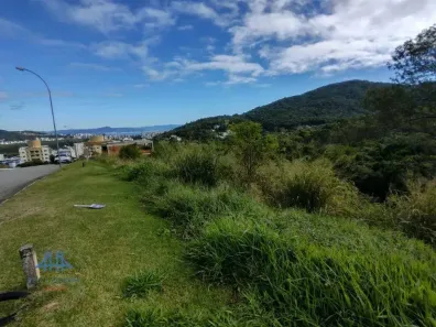 Lote/Terreno à venda, 534m² no Itacorubi, Florianópolis