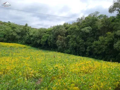 Fazenda/Sítio com 1 Quarto à venda, 39700m² no Salgadinho, Campo Largo