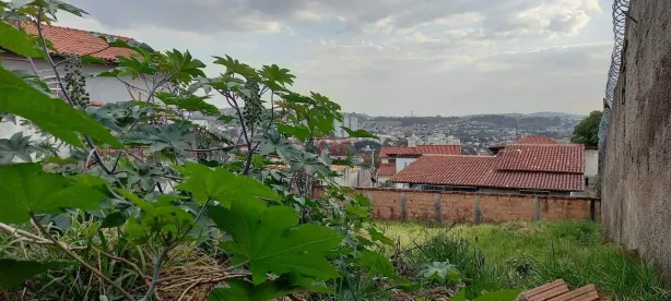Lote/Terreno à venda, 363m² no Havaí, Belo Horizonte