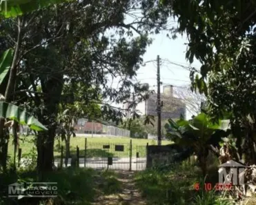 Lote/Terreno à venda, 1574m² no Vila Paranaguá, São Paulo